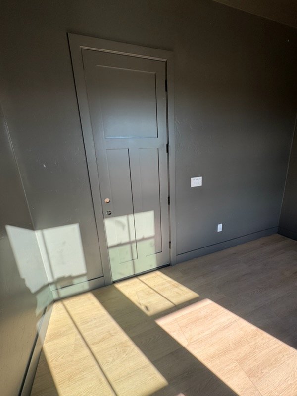 Dark painted wall with grey interior door